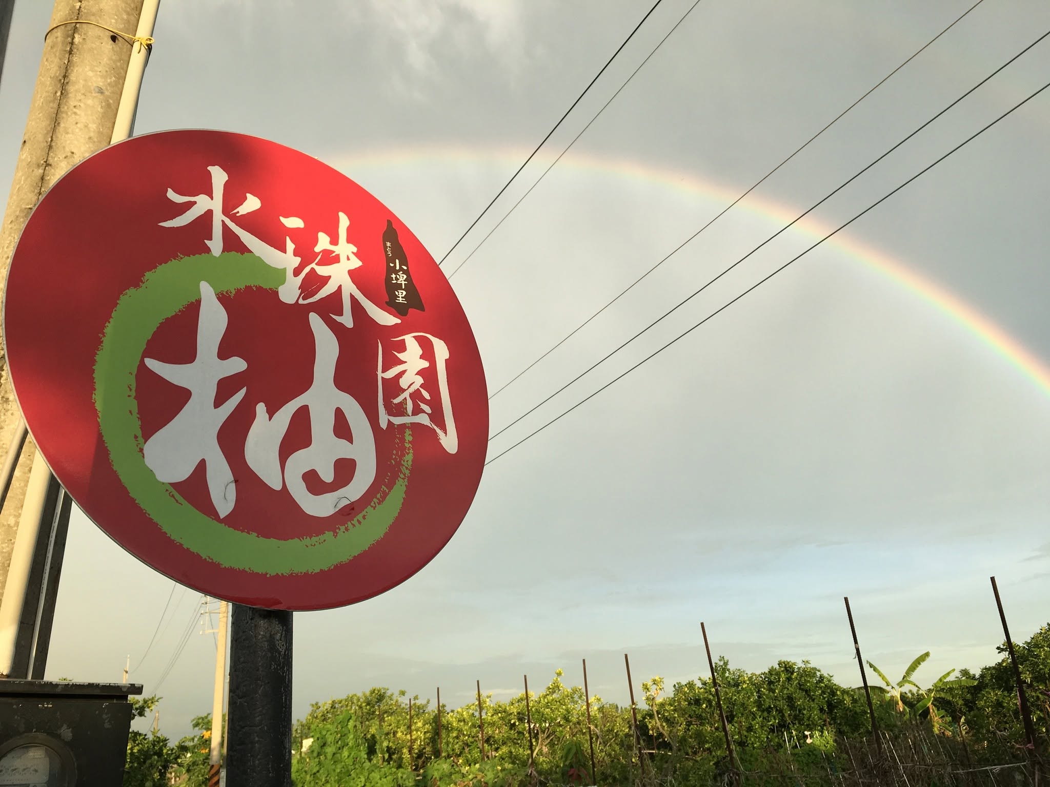水珠柚園 紅文旦の故鄉