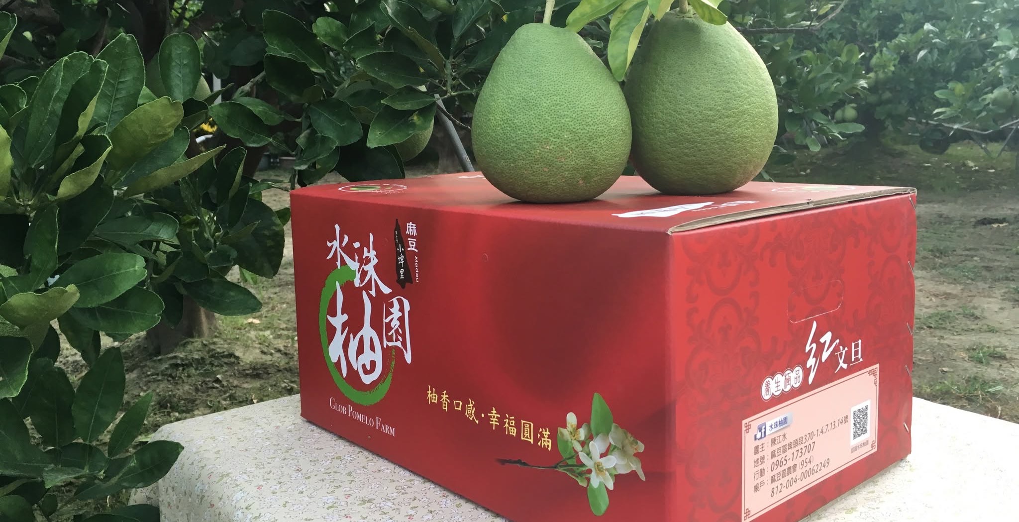 真摯的心意・頂級紅柚禮盒