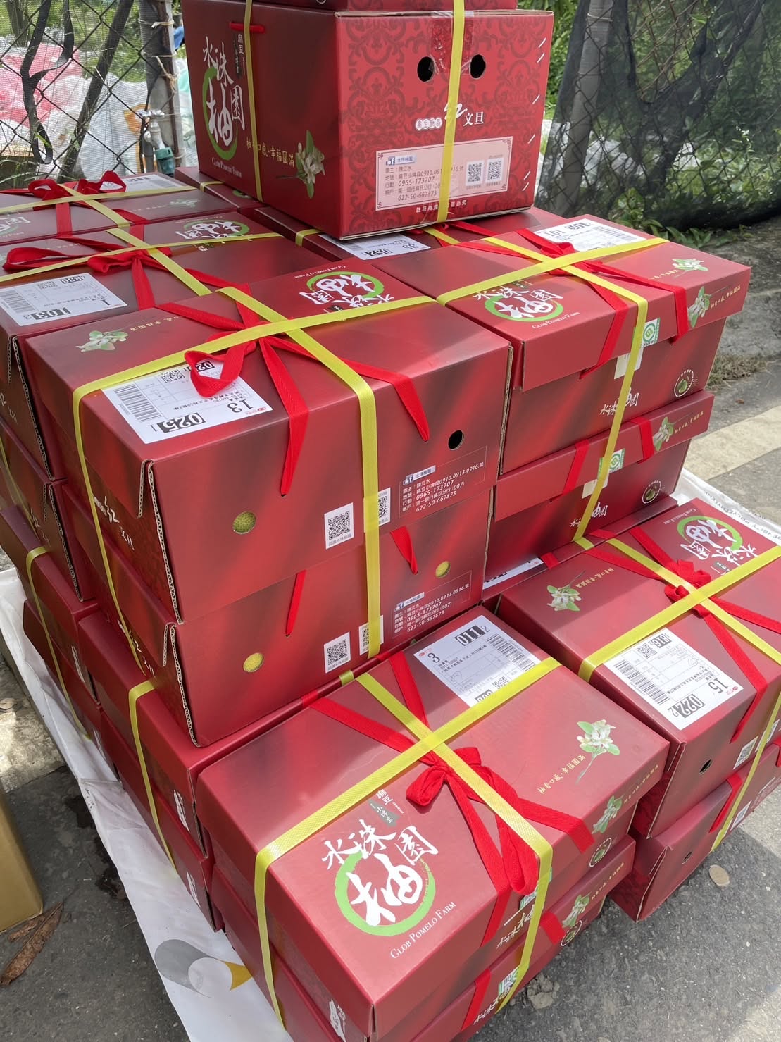 立秋前夕・果實漸入飽滿巔峰