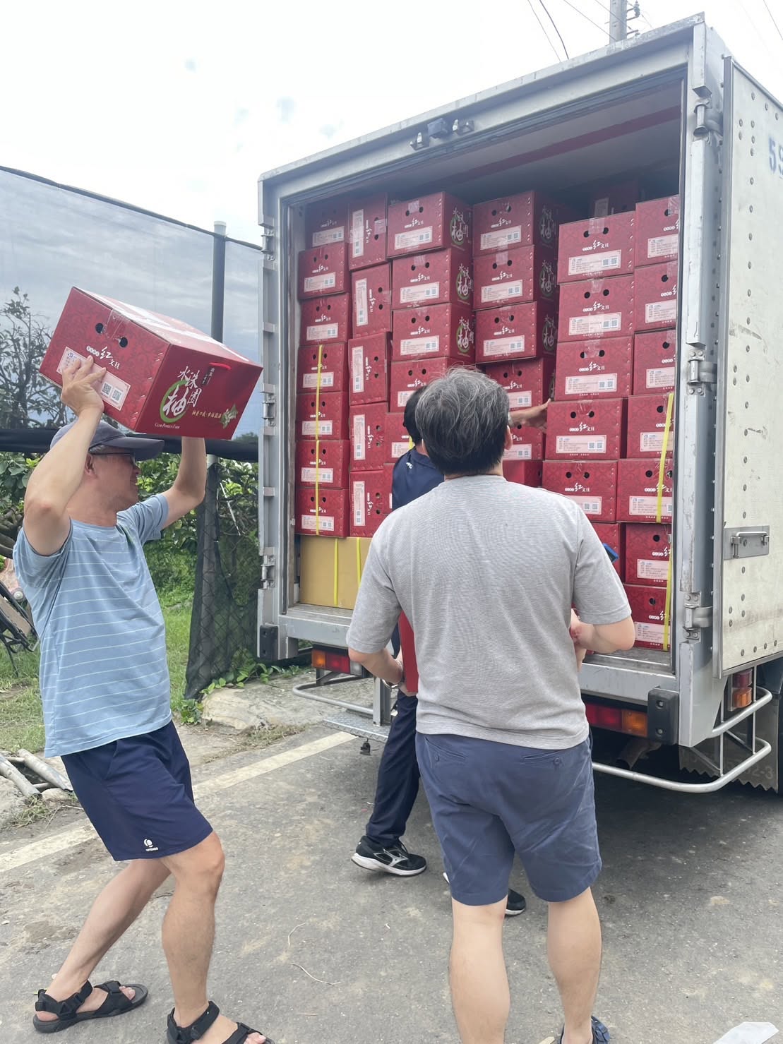 雙果相映・圓潤討喜的喜氣模樣