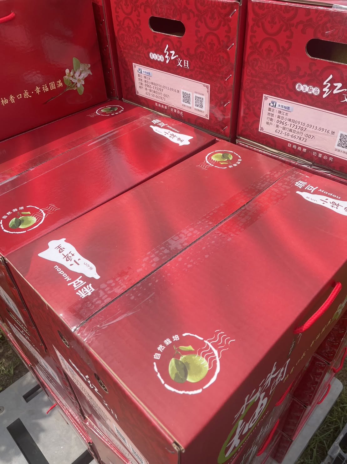 枝頭萌芽・時序更迭的生命見證