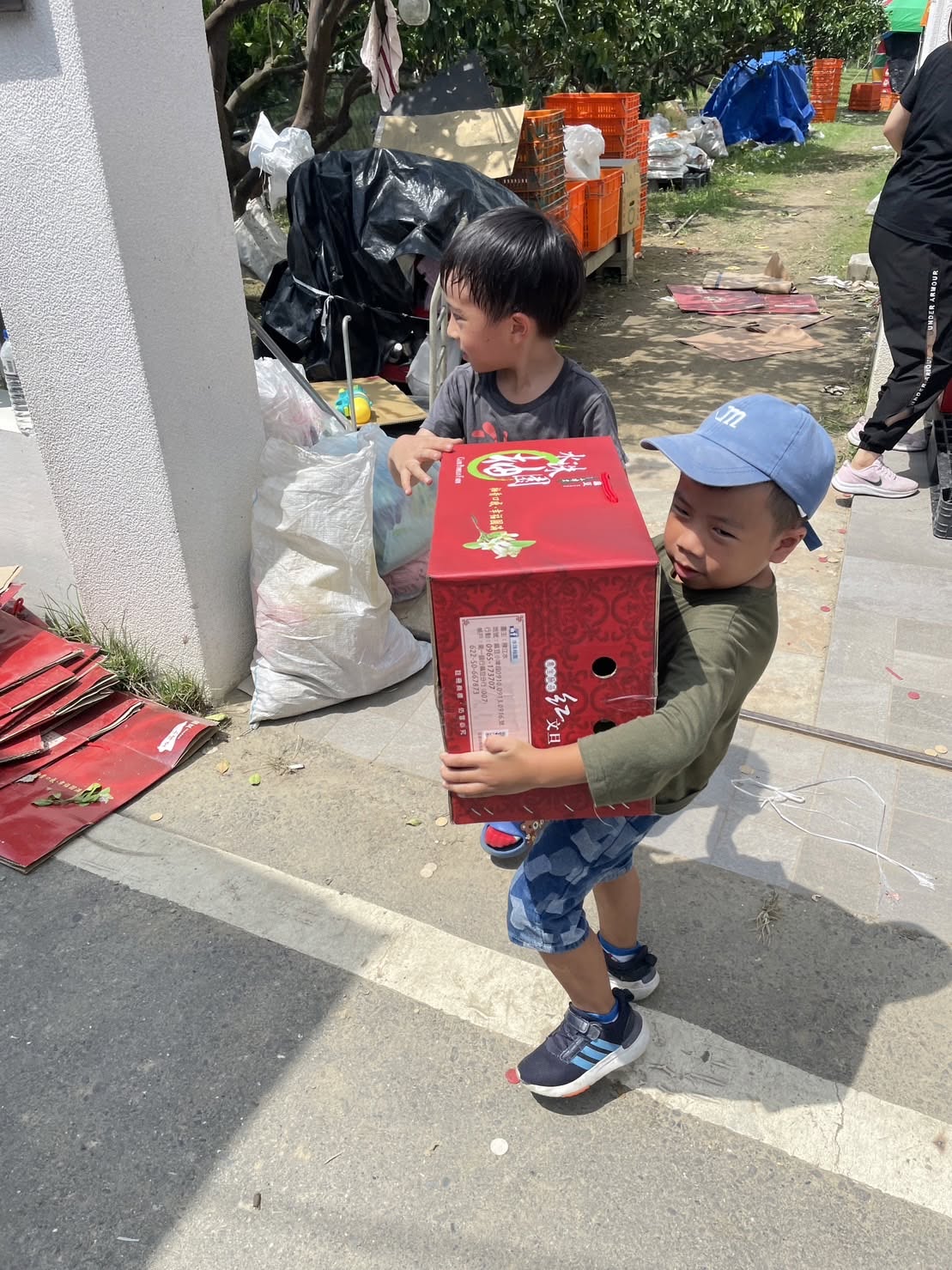 翠綠交錯・陽光下的翡翠寶石